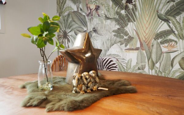 Conteneur habitable mobile – Image 5